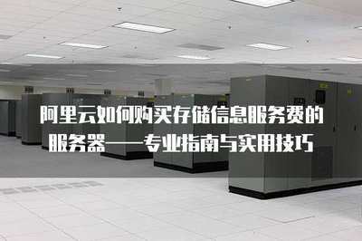 如何購(gòu)買存儲(chǔ)信息服務(wù)費(fèi)的服務(wù)器&mdash;&mdash;專業(yè)指南與實(shí)用技巧